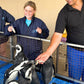 Discover the Penguin's World at the Kleinbaai Penguin Rehabilitation Sanctuary