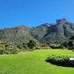 Discover the Magic of Kirstenbosch Botanical Gardens