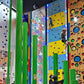 Educational Indoor Rock Climbing: Scale New Heights in Learning &amp; Physical Fitness!