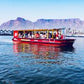 A Captivating Cape Town Harbour Cruise!