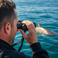 Shark Spotters – Safety | Conservation | Education | Research